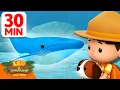 Download Lagu ¡Bajo el mar con una ballena jorobada! 🌊 | 30 Min | Leo, El Explorador | Animación