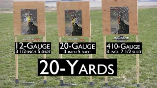turkey gun comparison shooting 20 and 30yds with 410 20 and 12 gauge