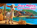 Download Lagu Caca Marica - Anak Kambing Saya - Lagu Anak Indonesia