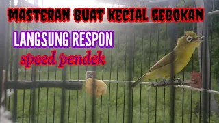 Download MASTERAN JITU KECIAL KUNING speed perdetik || Untuk Gebokan Langsung Respon MP3