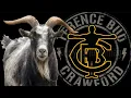 Lagu TERENCE CRAWFORD.   BILLY GOAT. .  