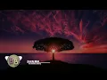 [Bass Boosted] Alok, Rooftime, Dubdogz - Free My Mind