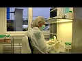 Sterigenics