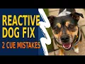 Why Your Reactive Dog Ignores You at the Exact Wrong Time 2 Cue Mistakes Most Owners Make