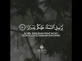 Download Lagu Surah Nuh (10-19) || Salim Alrwiliy