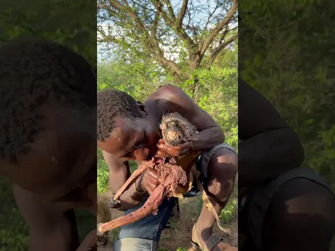 Hadzabe chief cooker eating delicious food
