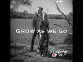 Grow as We Go