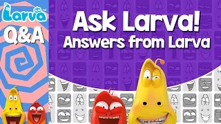  official questions and answers answers from larva special video