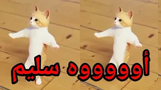   اغنية باسم سليم الزين    سطلانة السعودية الامارات تركيا العراق قطر مسقط البحرين الجزائر دبي الرياض دندنها