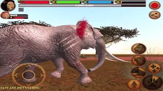 lion vs crocodile cheetah hippo rhino elephant hyena wild dog
