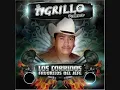 tigrillo palma corrido del 24