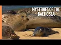 Mysteries of the Baltic Sea - From Denmark to Latvia Full Documentary