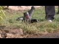 Black Decker Cordless 3-in-1 Trimmer Edger and Mower on QVC