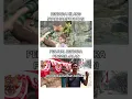 Download Lagu film animasi merah putih one for all #memetiktok #animasi #merahputih #oneforall  #filmanimasi #meme
