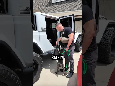 Teach Your Dog to Load Up Safely!