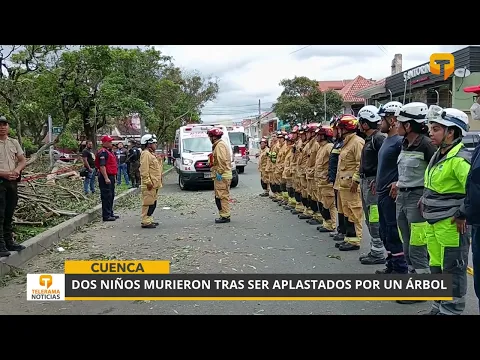 Dos niños murieron tras ser aplastados por un árbol