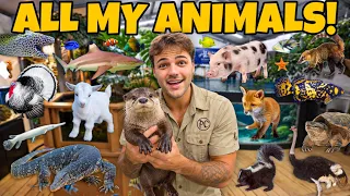 All of My ANIMALS on the FARM in ONE Video!!