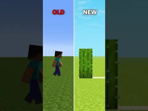 Minecraft Old VS New Blocks....😢