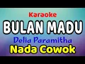 Download Lagu BULAN MADU Karaoke Nada Cowok / Nada Pria Delia Paramitha