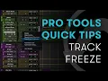 Pro Tools Quick Tips Track Freeze