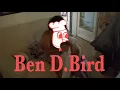 SUNCASE - Ben D. Bird (Official Video)