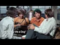 "Gonna Buy Me a Dog" by The Monkees