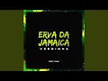 Download Lagu Erva da Jamaica x Verdinha (Funk Remix)