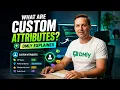 What Are Custom Attributes in DMLY Complete Guide