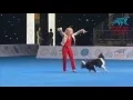 Lagu FCI Dog dance World Championship 2016 – Winner freestyle - Yvonne Belin and Alice (Switzerland)