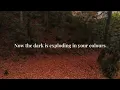 James Blunt - Tastes Like Summer (Lyrics)