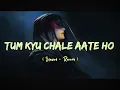 Tum Kyu Chale Aate Ho - Lofi Mix (Slowed + Reverb)| Vicky Singh | Lofi || presented by alone lofi