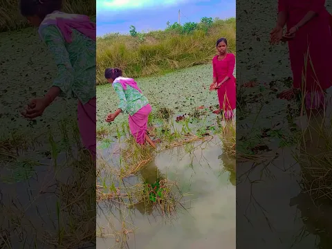 #puja # #dance #trendingshorts #youtubeshorts #dance #danceperformance