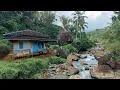 Download Lagu Wow.. Tak Disangka, Bisa Sampai Ke Kampung Seindah Ini Di Pinggir Sungai Di Kelilingi Hutan