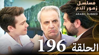 الحلقة 196 مسلسل زهور الدم مدبلج بالعربية Kan Çiçekleri 