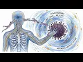 S01E05 Dysautonomia in Long COVID and