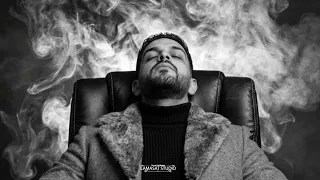 محمد نبيل    فزعة أسد       دندنها