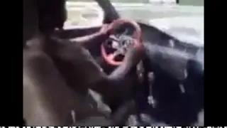 كان شاب رجوله وبن بلد  دندنها