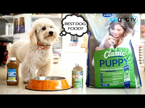 Download MP3 Best Dog food for your dogs? | All about Montego Pet Nutrition