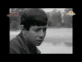 Download Lagu Bobby Goldsboro - Honey  (1968)