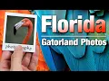 Florida Photography at Gatorland