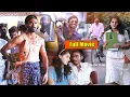 Download Lagu Dhanush And Tapsee Pannu Recent Super Hit Full Length HD Movie | Pandem Kollu Telugu Full Movie
