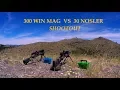 300 Win Mag VS 30 Nosler ShootOut