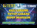 Lagu DJ Full Bass – Gali Lobang Tutup Lobang | Dangdut Remix Viral 2025 🔥