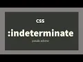 CSS indeterminate Pseudo Selector Explained