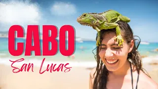 Cabo San Lucas | Pacific Baja California Sur | Sailing Avocet