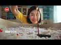 SCTV - Jeda Iklan Komersial | 15 Januari 2025 (Pukul 0.38 WIB)