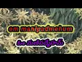 Download Lagu OM Mani padhmehum Powerfull Manthra of Sunday (Sun) #86164 #vikramaditya #vikramadhithya #trending