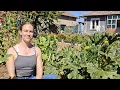 DIY Homestead Week Eco Bricks Barn Reset