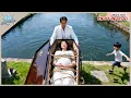 Download Lagu Pregnant Girl Was Abandoned By Her Family 6 Years Later Her Son Brought Her Marry A Billionaire CEO
