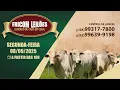 Download Lagu FRICOM LEILÕES 08/09/2025  (HOJE) / AO VIVO - LEILÃO DE GADO DE CORTE - PIRACANJUBA - GO